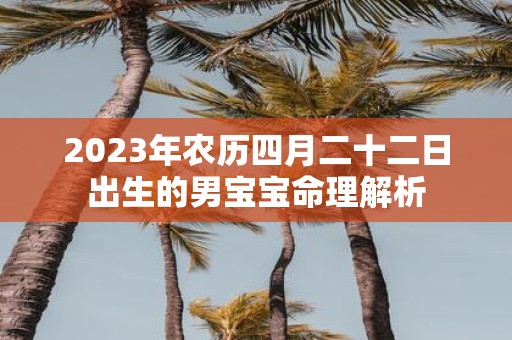 2025年农历四月二十二日出生的男宝宝命理解析