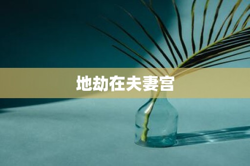 地劫在夫妻宫