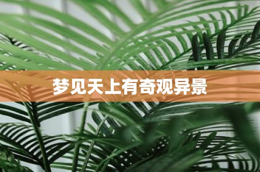 梦见天上有奇观异景