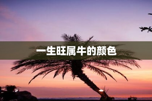 一生旺属牛的颜色