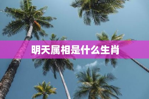 明天属相是什么生肖