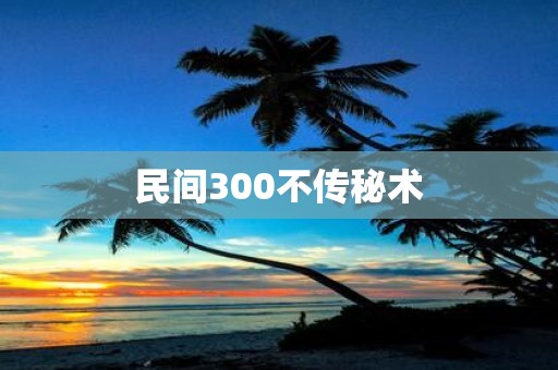 民间300不传秘术