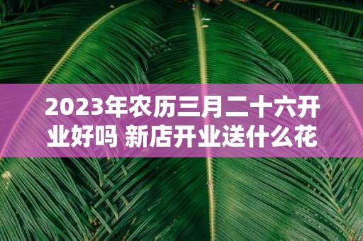 2025年农历三月二十六开业好吗 新店开业送什么花