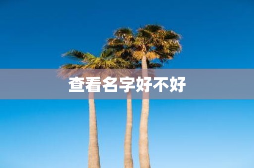 查看名字好不好