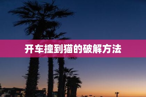 开车撞到猫的破解方法