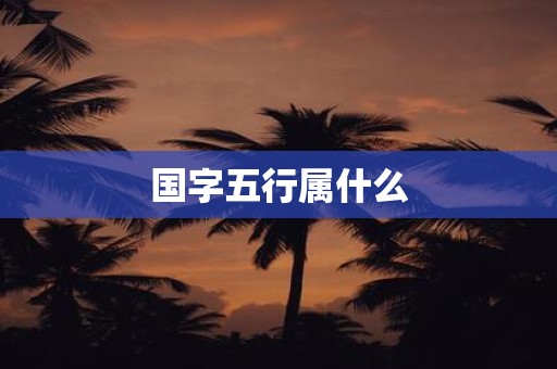 国字五行属什么