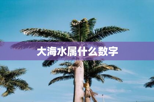 大海水属什么数字