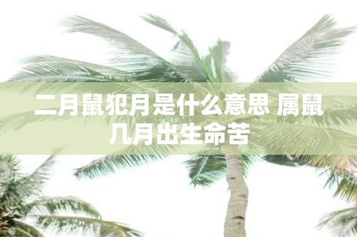 二月鼠犯月是什么意思 属鼠几月出生命苦