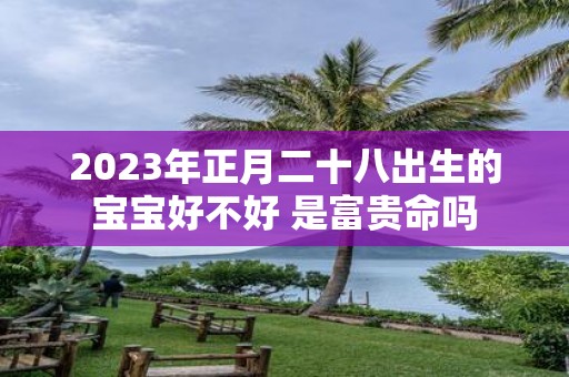 2025年正月二十八出生的宝宝好不好 是富贵命吗