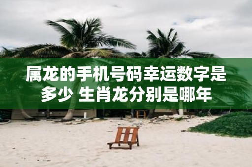 属龙的手机号码幸运数字是多少 生肖龙分别是哪年