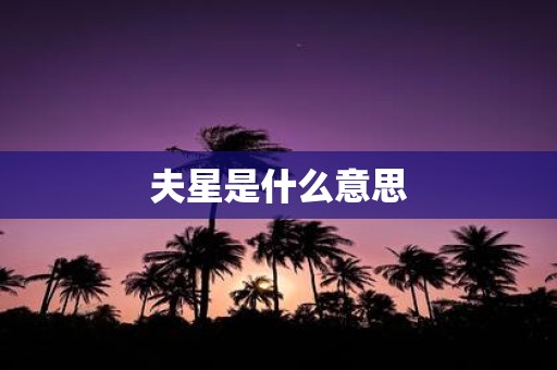 夫星是什么意思