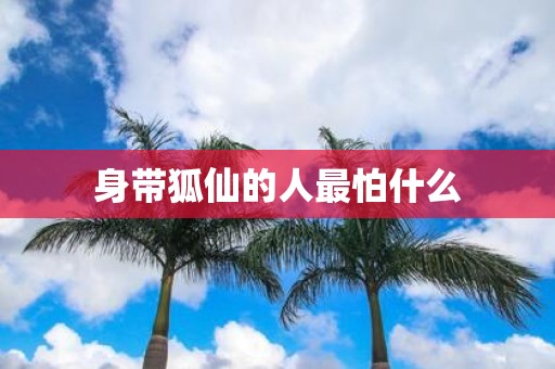 身带狐仙的人最怕什么