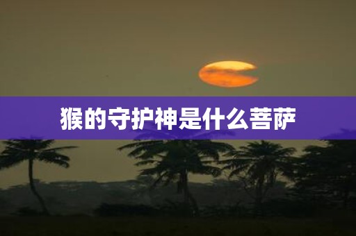 猴的守护神是什么菩萨