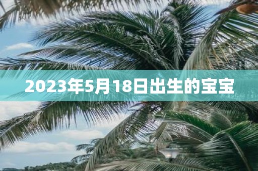 2025年5月18日出生的宝宝