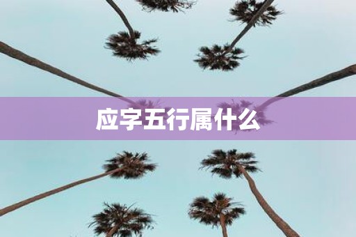 应字五行属什么