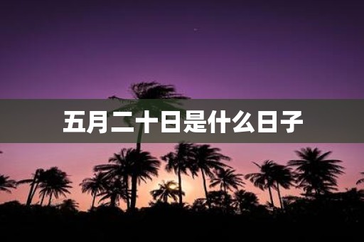 五月二十日是什么日子
