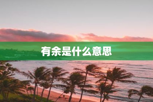 有余是什么意思