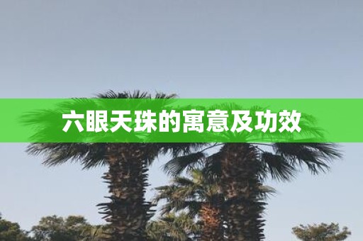 六眼天珠的寓意及功效