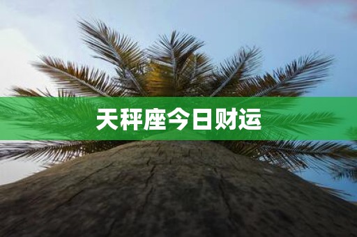 天秤座今日财运