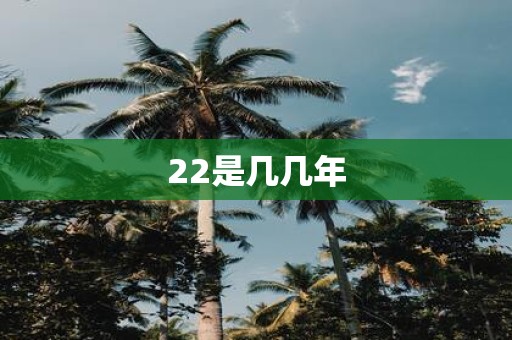 22是几几年