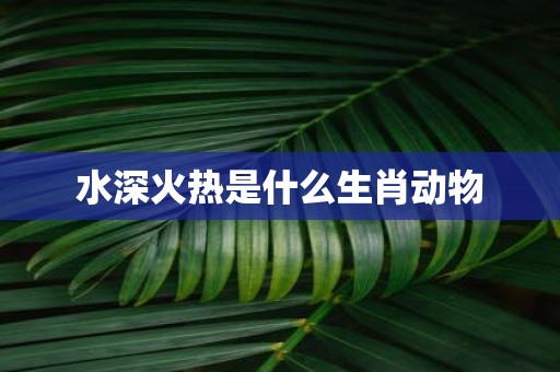 水深火热是什么生肖动物