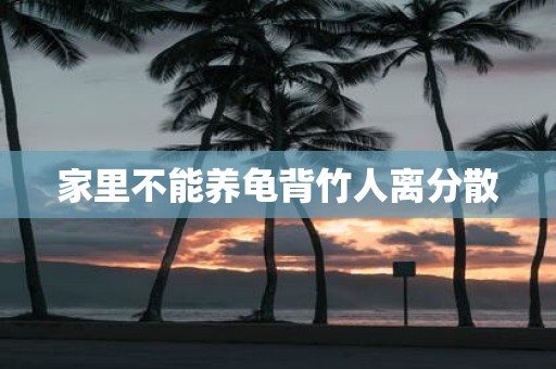 家里不能养龟背竹人离分散