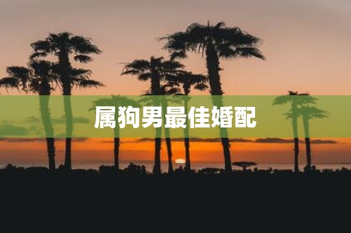 属狗男最佳婚配