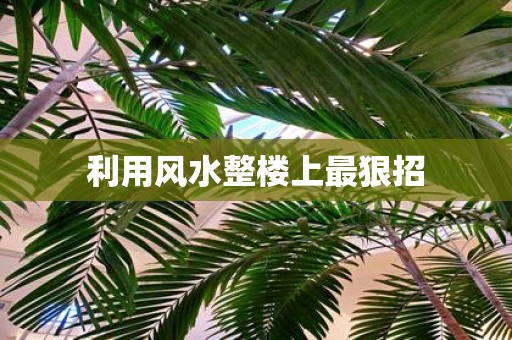 利用风水整楼上最狠招