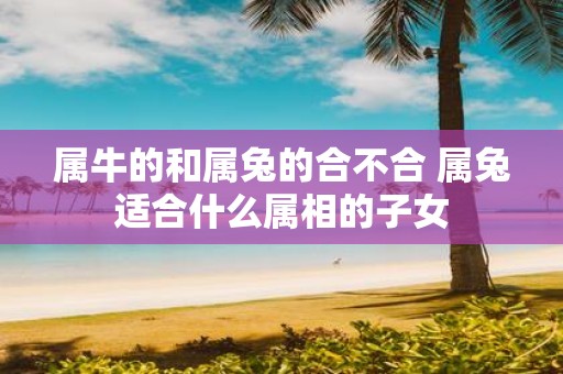 属牛的和属兔的合不合 属兔适合什么属相的子女