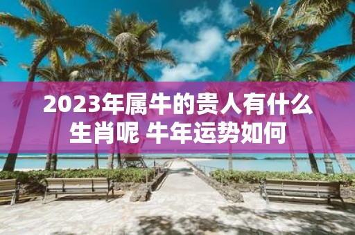 2025年属牛的贵人有什么生肖呢 牛年运势如何