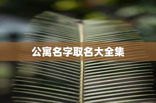 公寓名字取名大全集