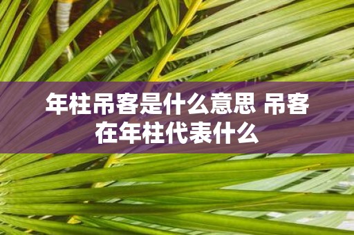 年柱吊客是什么意思 吊客在年柱代表什么