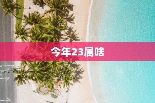 今年23属啥