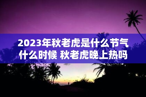2025年秋老虎是什么节气什么时候 秋老虎晚上热吗
