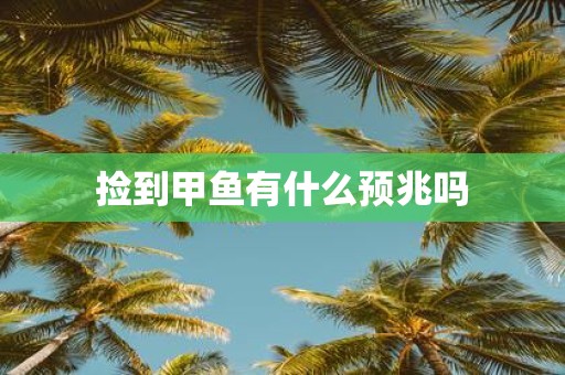 捡到甲鱼有什么预兆吗