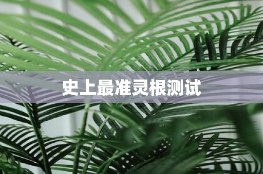 史上最准灵根测试