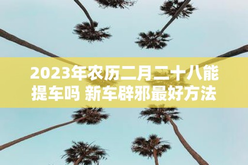 2025年农历二月二十八能提车吗 新车辟邪最好方法是什么