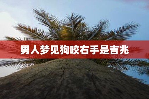 男人梦见狗咬右手是吉兆