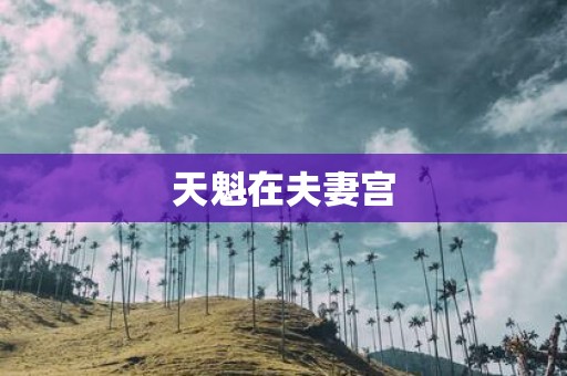 天魁在夫妻宫