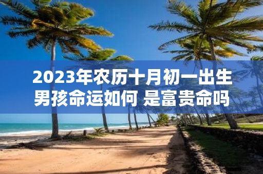 2025年农历十月初一出生男孩命运如何 是富贵命吗