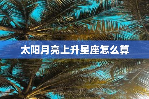 太阳月亮上升星座怎么算