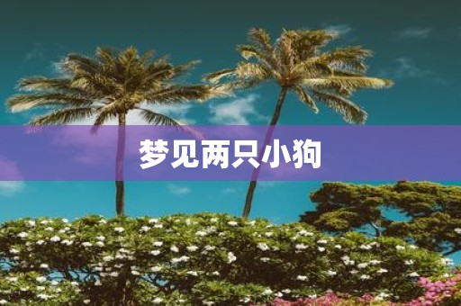 梦见两只小狗