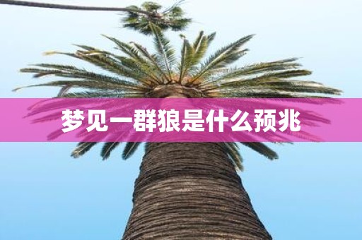 梦见一群狼是什么预兆