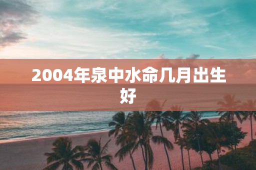 2004年泉中水命几月出生好