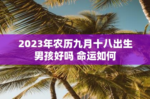 2025年农历九月十八出生男孩好吗 命运如何