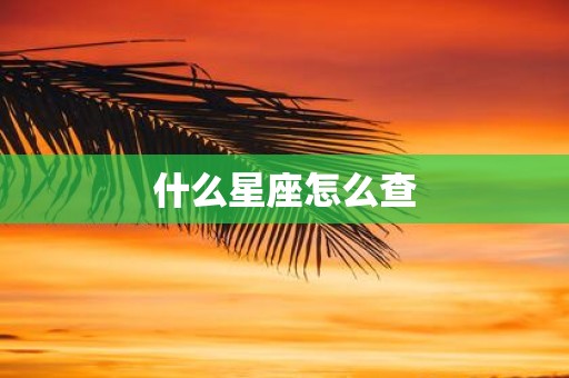什么星座怎么查