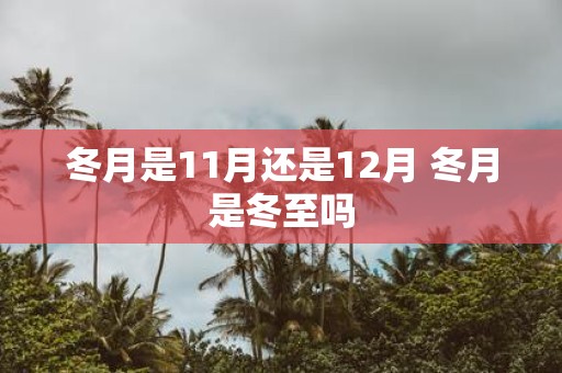 冬月是11月还是12月 冬月是冬至吗