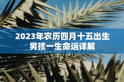 2025年农历四月十五出生男孩一生命运详解