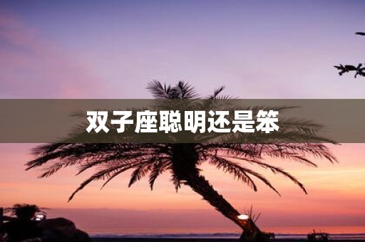 双子座聪明还是笨