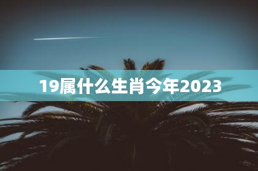 19属什么生肖今年2025